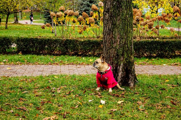 L'aventure extraordinaire de la grossesse multiple : une expérience unique